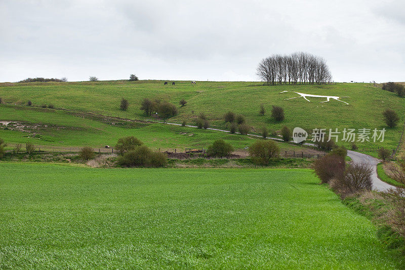 英国威尔郡的Hackpen White Horse Hill Figure